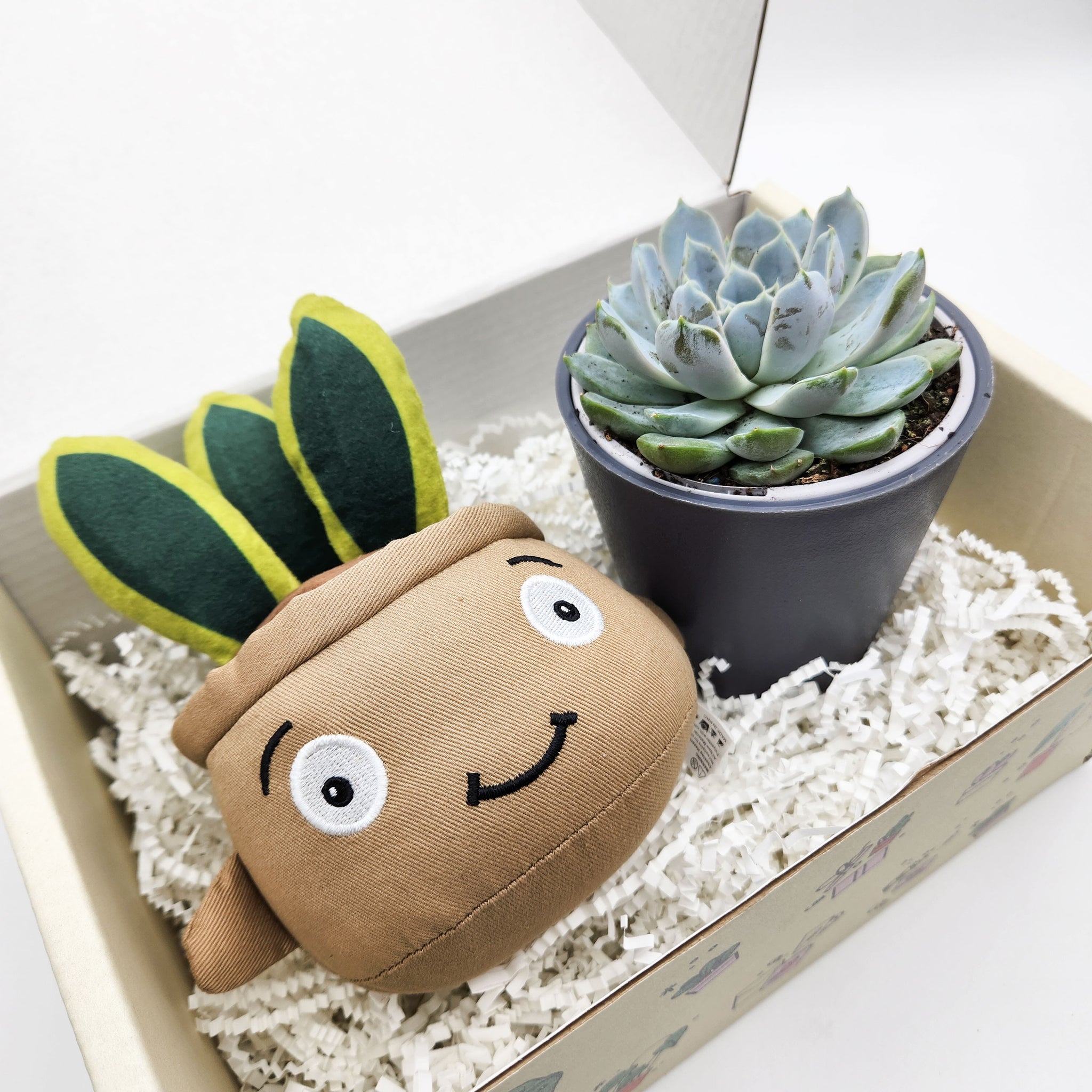 snake plant plush Snake Plant Plushie & Succulent Gift