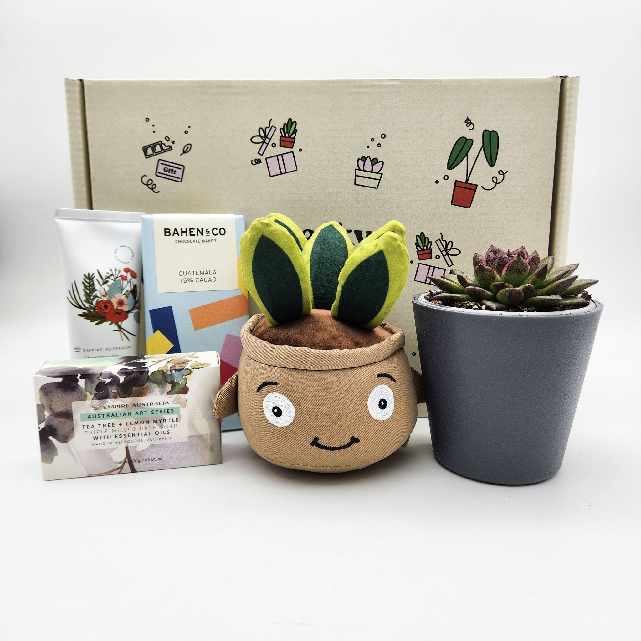 succulent plant birthday gift Happy Birthday Hamper