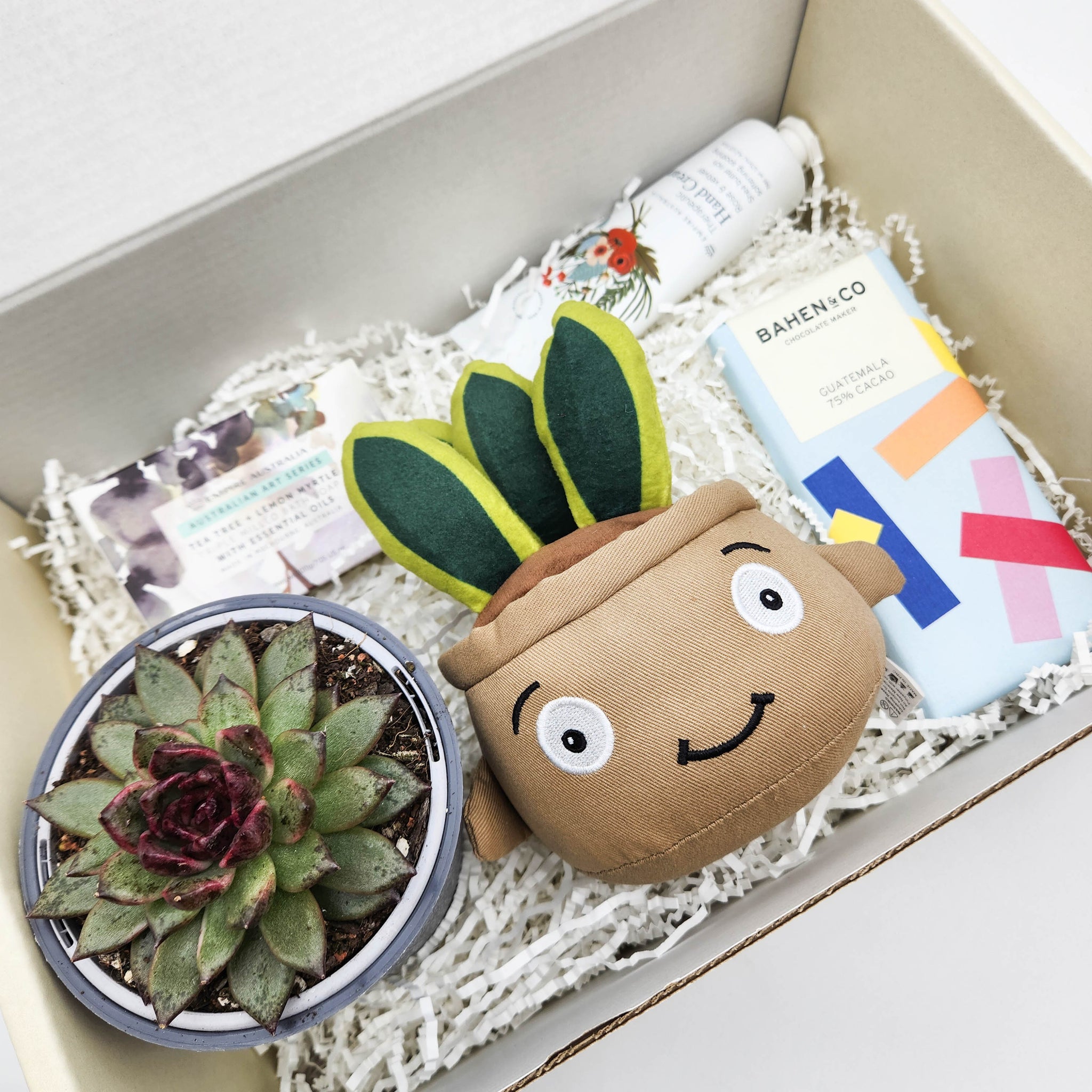 succulent birthday box Happy Birthday Hamper