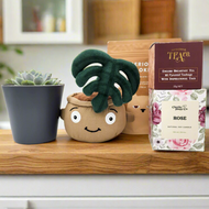 Thank You - Succulent Hamper / Succulent Gift Box - Sydney Only