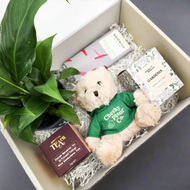Peace Lily Thinking of You Gift Box