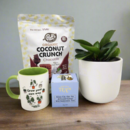 New Home - Plant Gift Hamper - Sydney Only