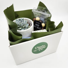 Load image into Gallery viewer, Wedding / Engagement - Succulent Gift Hamper - Sydney Only
