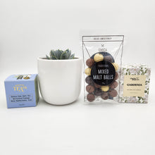 Load image into Gallery viewer, Wedding / Engagement - Succulent Gift Hamper - Sydney Only
