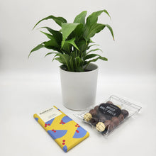 Load image into Gallery viewer, Peace Lily Sorry Gift Hamper - Sydney Only
