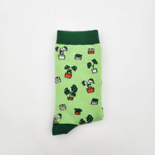 Load image into Gallery viewer, Plant Lover Socks - Plant Pattern - Cheeky Plant Co.
