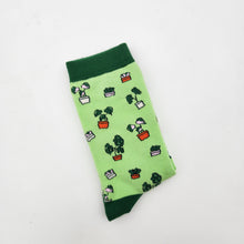 Load image into Gallery viewer, Plant Lover Socks - Plant Pattern - Cheeky Plant Co.
