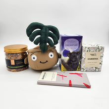 Load image into Gallery viewer, Comfort &amp; Care Plant Plushie Gift Box
