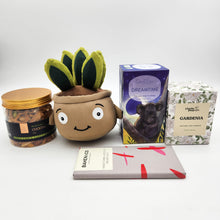 Load image into Gallery viewer, Comfort &amp; Care Plant Plushie Gift Box
