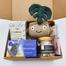 Load image into Gallery viewer, Comfort &amp; Care Plant Plushie Gift Box
