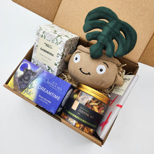 Load image into Gallery viewer, Comfort &amp; Care Plant Plushie Gift Box
