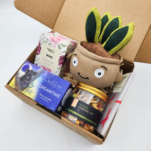 Load image into Gallery viewer, Comfort &amp; Care Plant Plushie Gift Box
