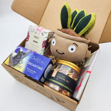 Load image into Gallery viewer, Comfort &amp; Care Plant Plushie Gift Box
