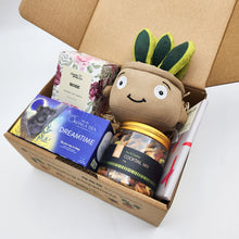 Load image into Gallery viewer, Comfort &amp; Care Plant Plushie Gift Box
