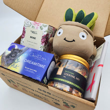 Load image into Gallery viewer, Comfort &amp; Care Plant Plushie Gift Box
