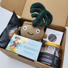 Load image into Gallery viewer, Happy Moments Plant Plushie Gift Box
