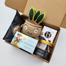 Load image into Gallery viewer, Happy Moments Plant Plushie Gift Box
