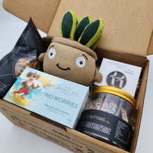 Load image into Gallery viewer, Happy Moments Plant Plushie Gift Box
