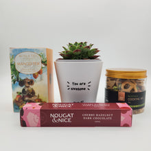 Load image into Gallery viewer, Awesome Vibes Succulent Gift Box - Sydney Only
