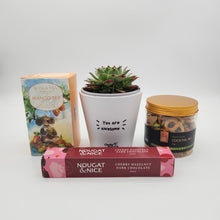 Load image into Gallery viewer, Awesome Vibes Succulent Gift Box - Sydney Only
