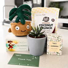 Load image into Gallery viewer, Thank You - Succulent Hamper / Succulent Gift Box - Sydney Only
