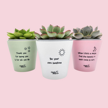 Load image into Gallery viewer, Trio Pack - Positive - Cheeky Plant Co. Pots - 11cmD x 11cmH
