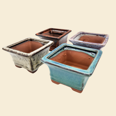 Bonsai Style Succulent Pots - 12cmD x 7.5cmH - 4 Pack