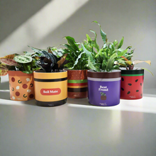 Load image into Gallery viewer, Foodie Pots Five Pack - Cheeky Plant Co. Pots - 12.5cmD x 12cmH
