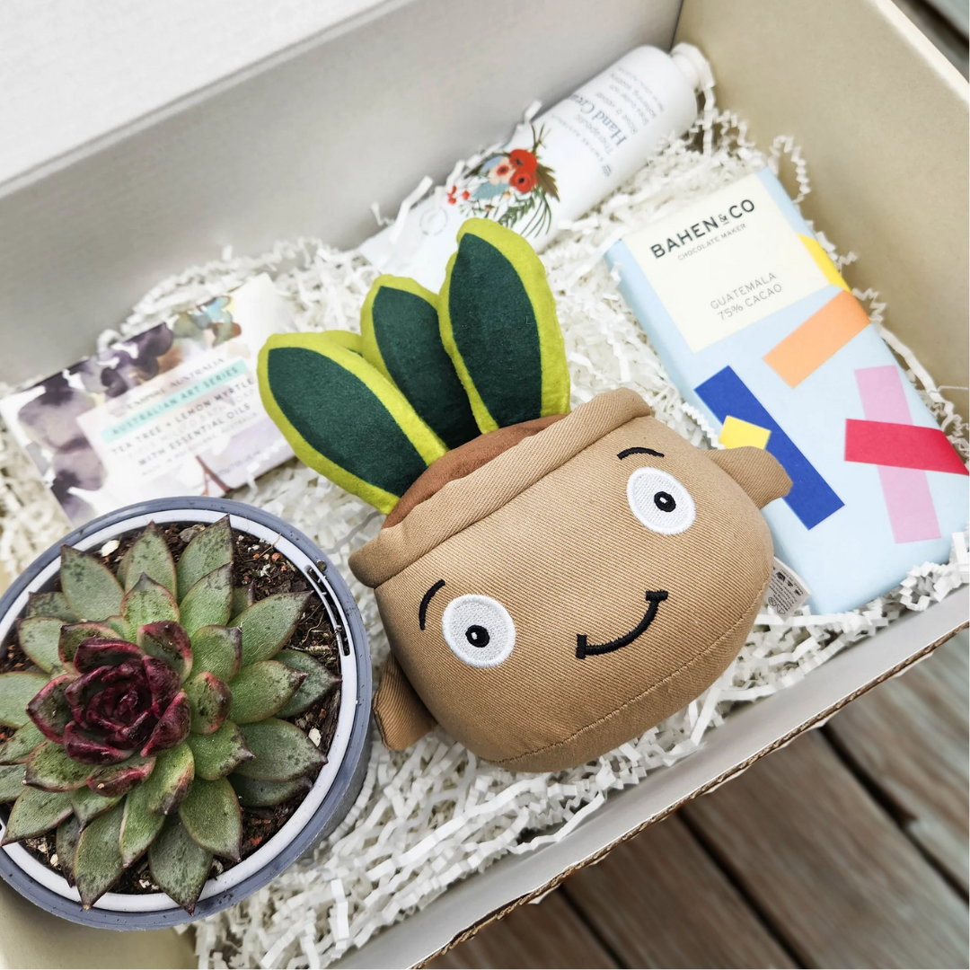 succulent gift bags Happy Birthday Hamper