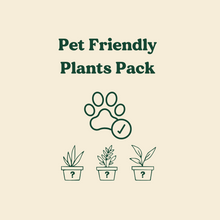 Load image into Gallery viewer, Pet Friendly Plants Pack (3 Assorted Plants) - 100mm - Sydney Only
