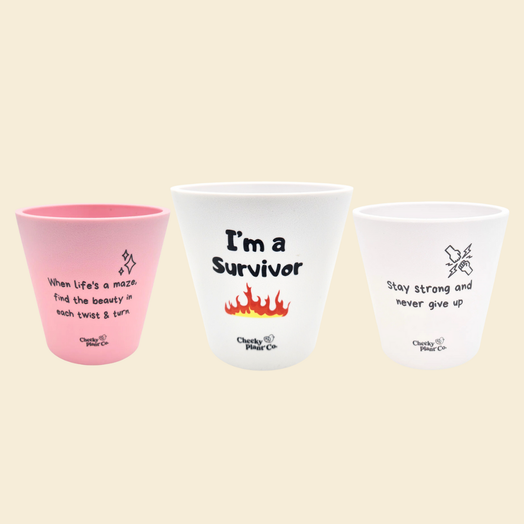 Strong Independent Woman Pots Pack - Cheeky Plant Co. Pots