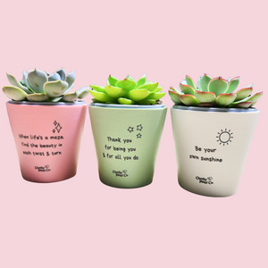 Trio Pack - Positive - Cheeky Plant Co. Pots - 11cmD x 11cmH