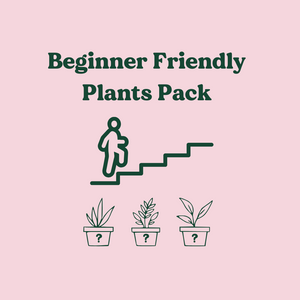 Beginner Friendly Plants Pack (3 Assorted Plants) - 100mm