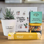 Positive Vibes - Succulent Gift Box