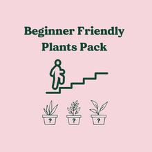 Load image into Gallery viewer, Beginner Friendly Plants Pack (3 Assorted Plants) - 100mm - Sydney Only

