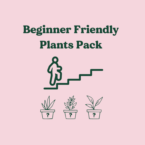 Beginner Friendly Plants Pack (3 Assorted Plants) - 100mm - Sydney Only