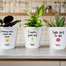 Load image into Gallery viewer, Trio Assorted Indoor Plants in Cheeky Pots (13.5cmD x 11.5cmH) - Sydney Only
