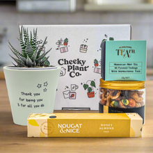 Load image into Gallery viewer, Positive Vibes - Succulent Gift Box
