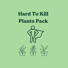 Load image into Gallery viewer, Hard to Kill Plants Pack (3 Assorted Plants) - 100mm - Sydney Only
