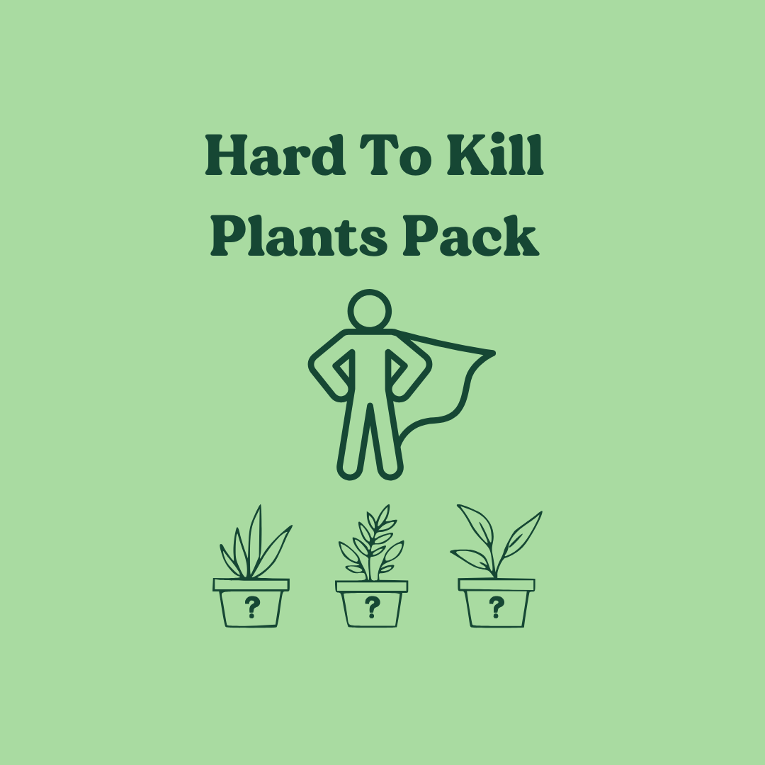 Hard to Kill Plants Pack (3 Assorted Plants) - 100mm - Sydney Only ...