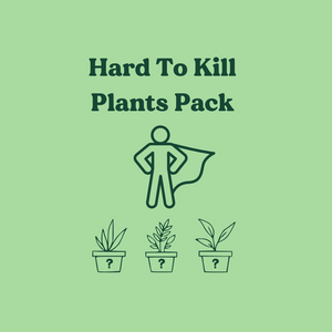 Hard to Kill Plants Pack (3 Assorted Plants) - 100mm - Sydney Only