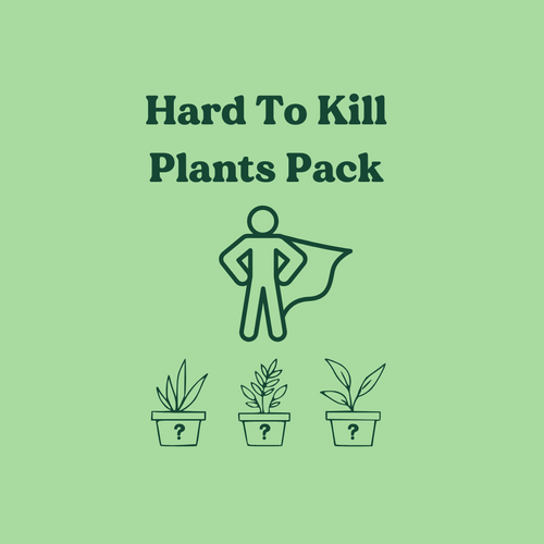 Hard to Kill Plants Pack (3 Assorted Plants) - 100mm