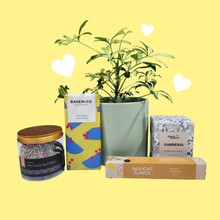 Load image into Gallery viewer, Mother's Day Green Pot Plant Gift Hamper - Sydney Only
