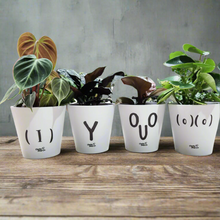 Load image into Gallery viewer, Rude Pots Four Pack - Cheeky Plant Co. Pots - 13.5cmD x 11.5cmH

