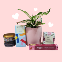 Load image into Gallery viewer, Mother's Day Pink Pot Plant Gift Hamper - Sydney Only
