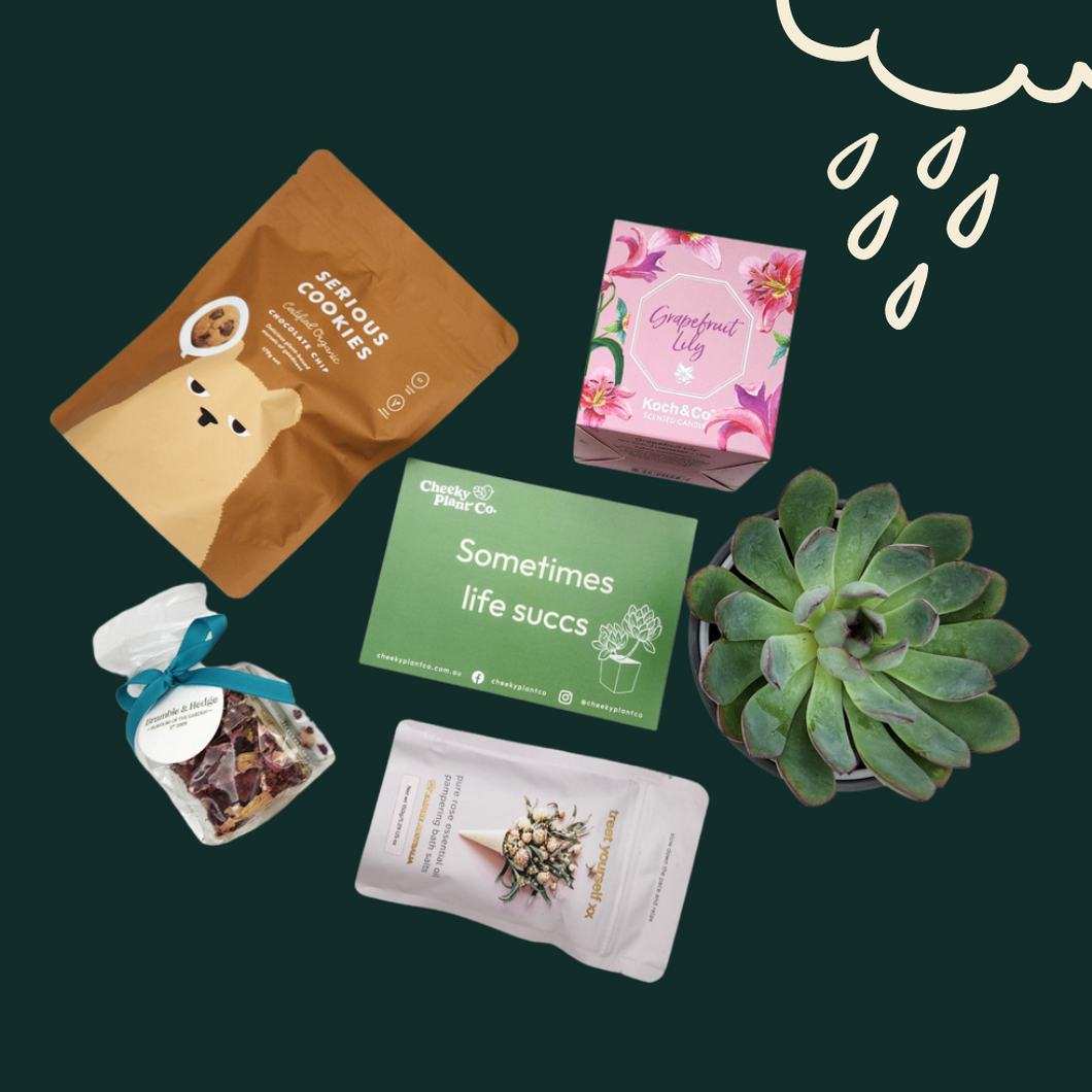 Sometimes Life Succs - Cheeky Gift Hamper - Sydney Only