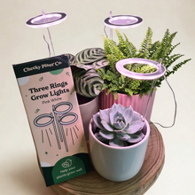 Load image into Gallery viewer, Three Rings Grow Lights - Pink White - Cheeky Plant Co.
