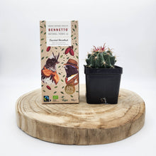 Load image into Gallery viewer, Assorted Cactus &amp; Chocolate Gift - Sydney Only
