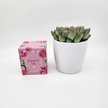 Load image into Gallery viewer, Assorted Succulent &amp; Candle Gift - Sydney Only
