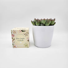 Load image into Gallery viewer, Assorted Succulent &amp; Candle Gift - Sydney Only
